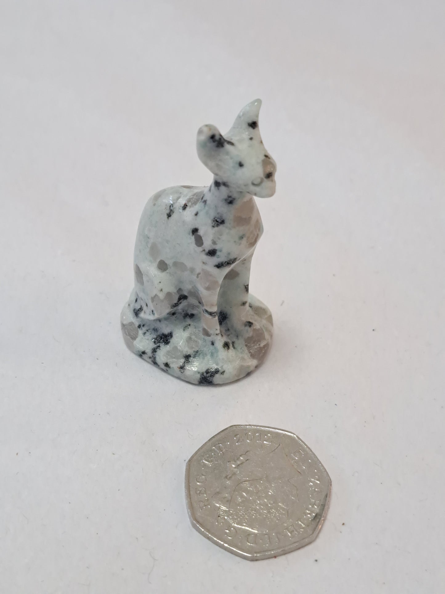 Kiwi jasper spynx cat