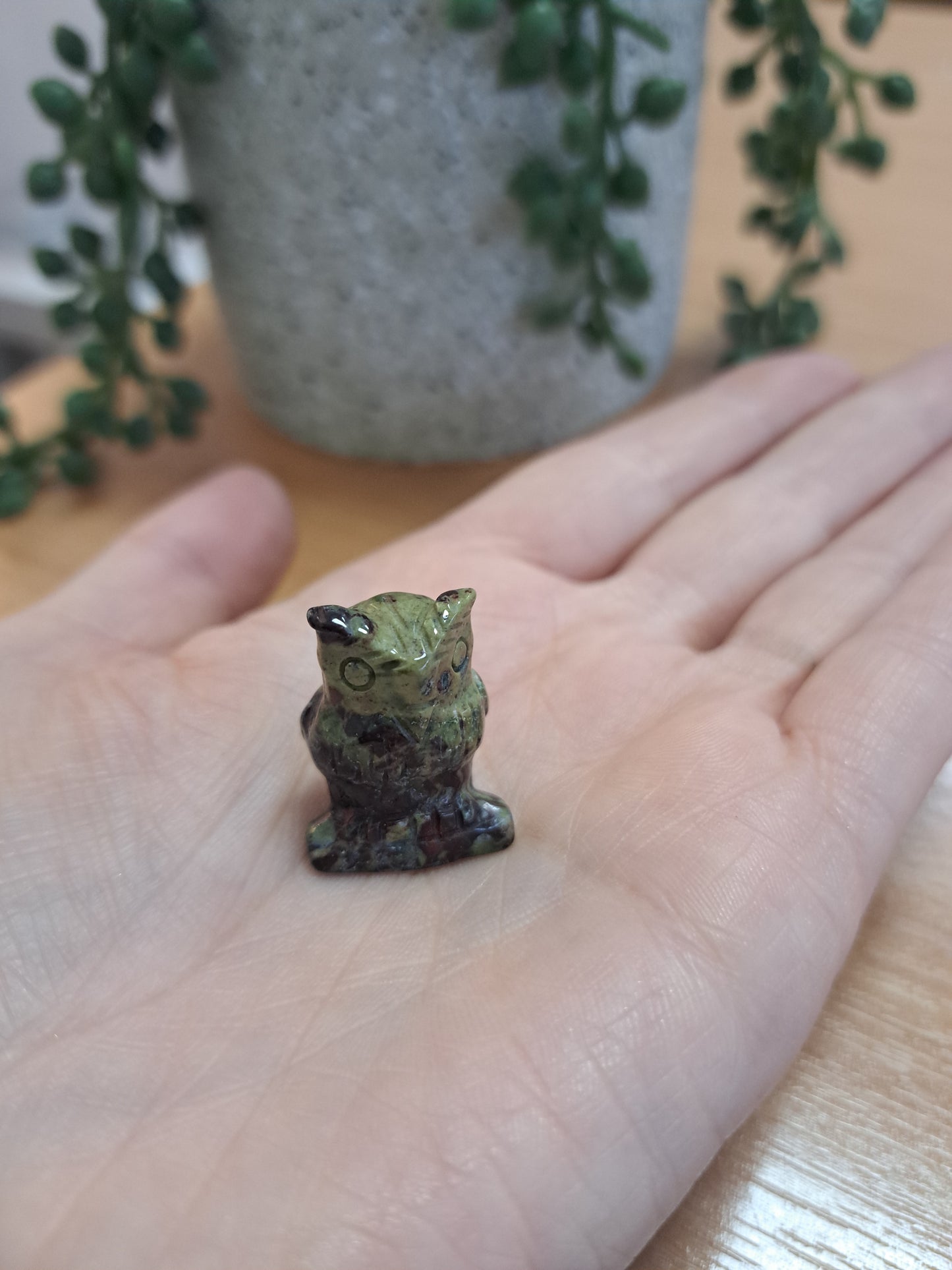 African bloodstone mini owl