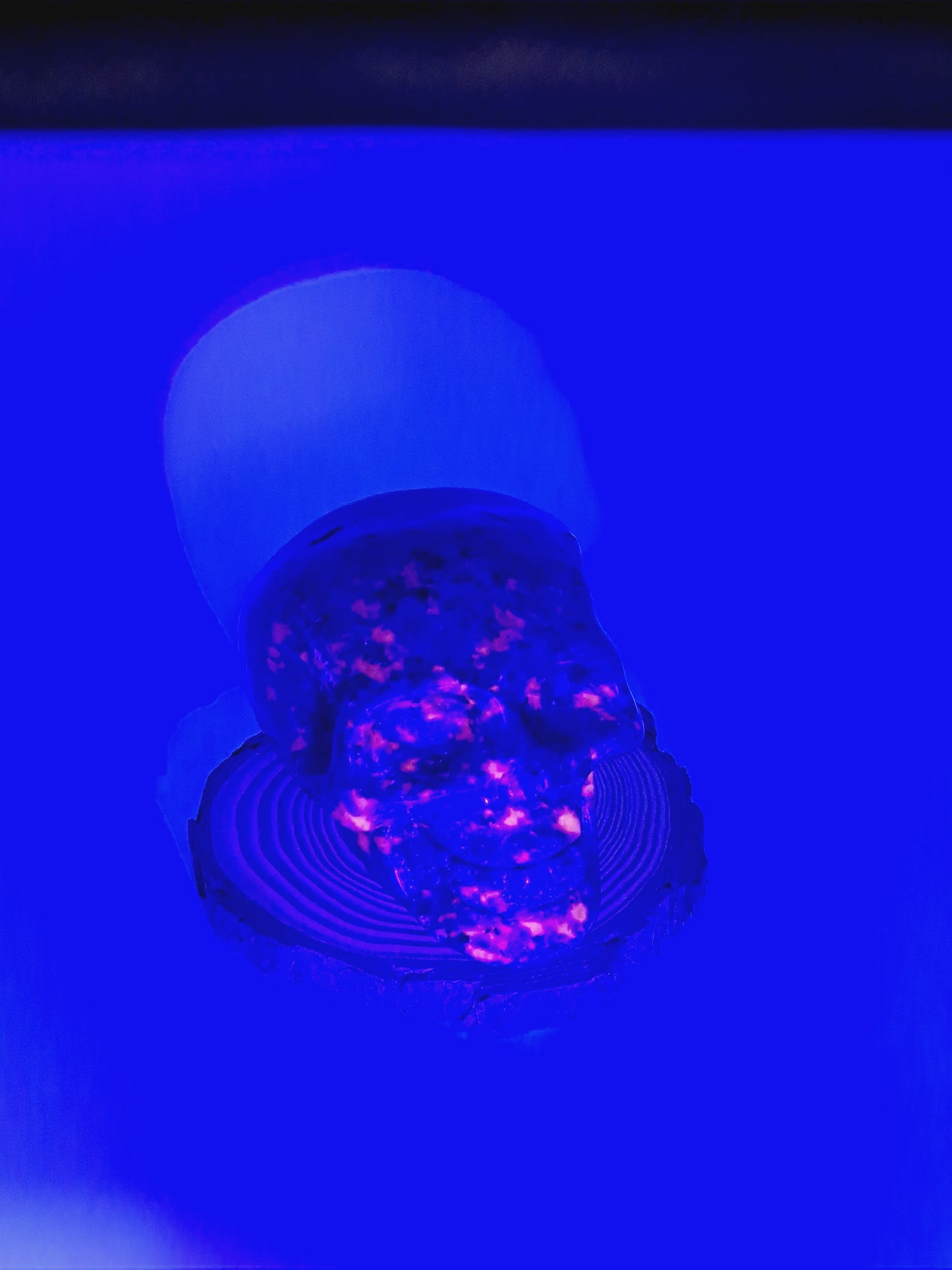 Large Yooperlite skull