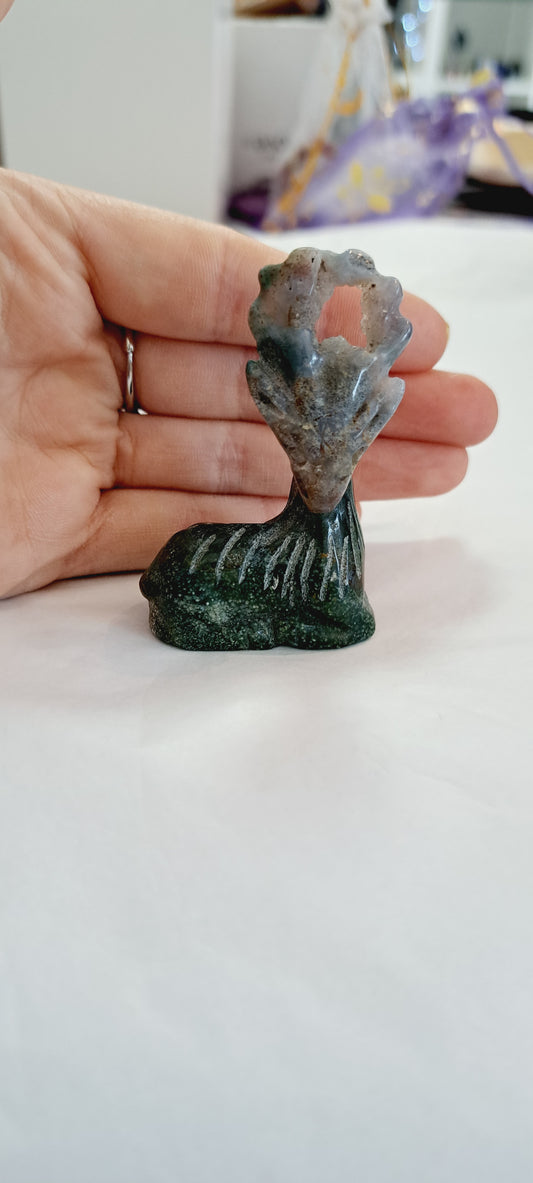Ocean jasper stag