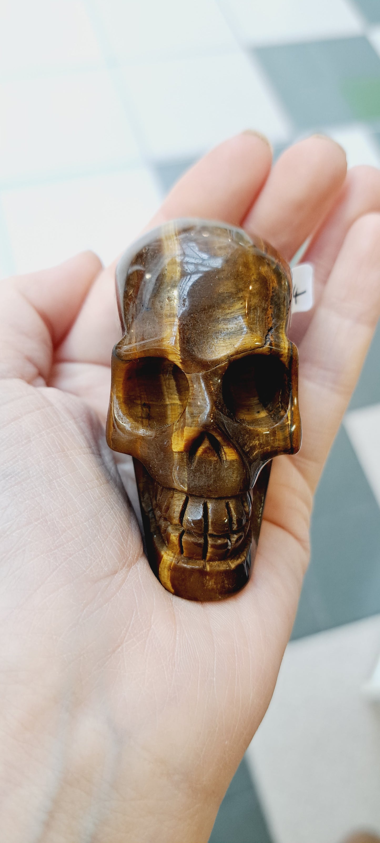 Tigers eye skull