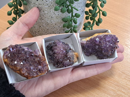 Raw Uruguay amethyst cluster