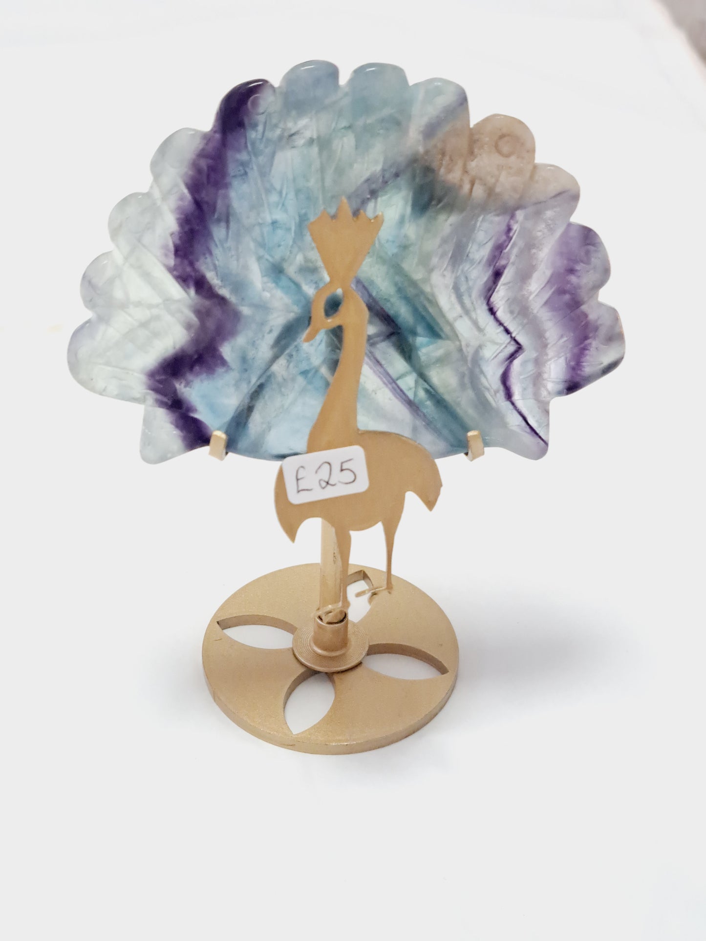 Banded fluorite peacock 🦚