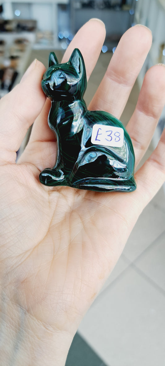 Malachite cat