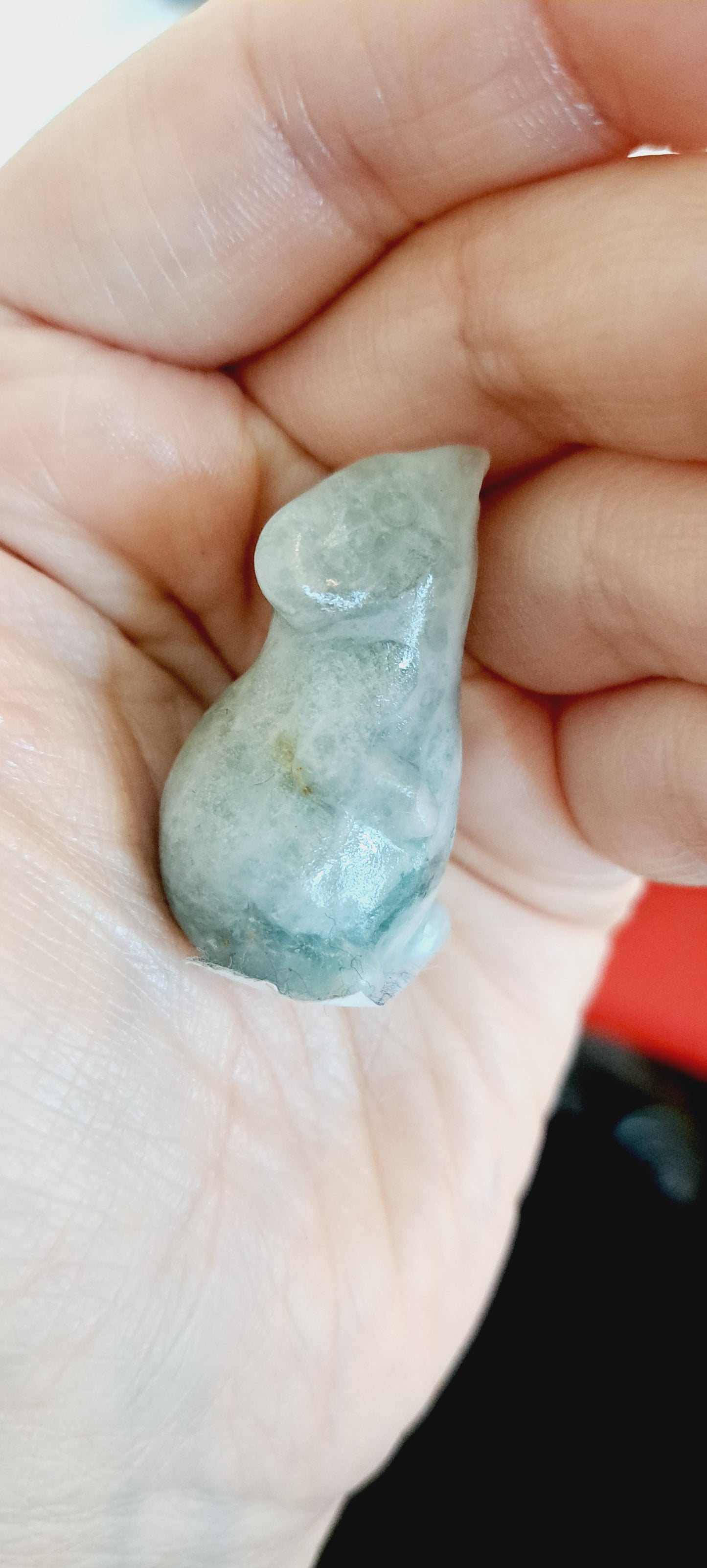 Carabien calcite mouse