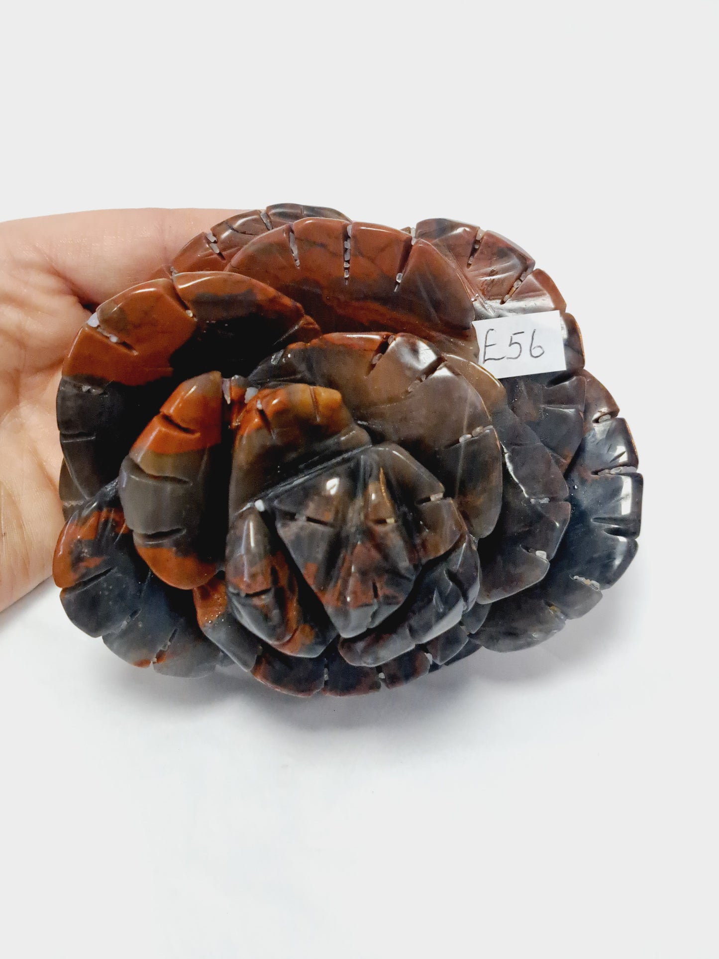 Ocean jasper rose