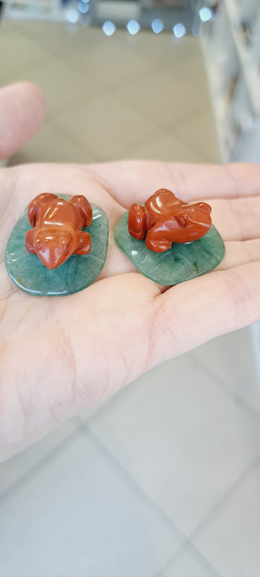 Red jasper frog on lily pad