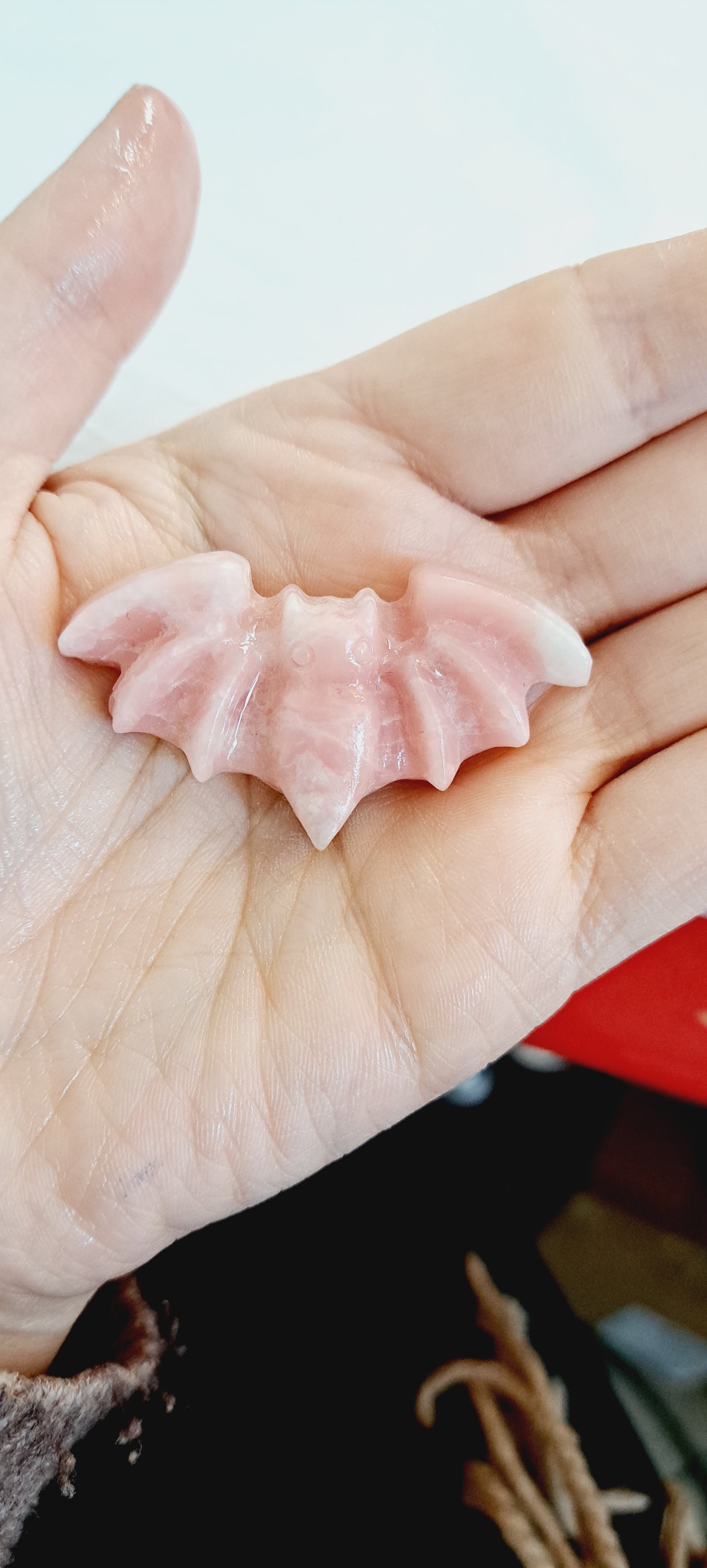Pink opal bat