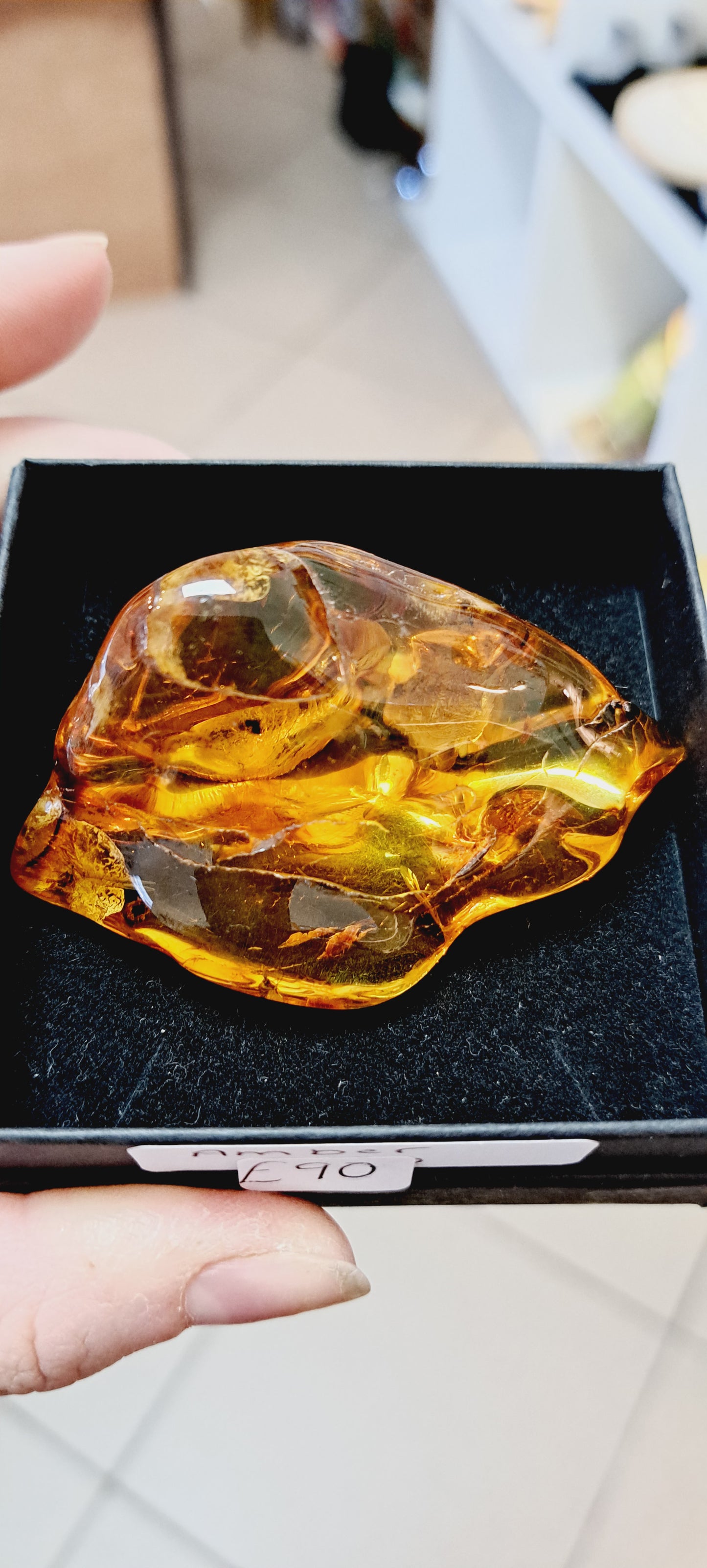 Large piece of baltic amber with insect inclusions