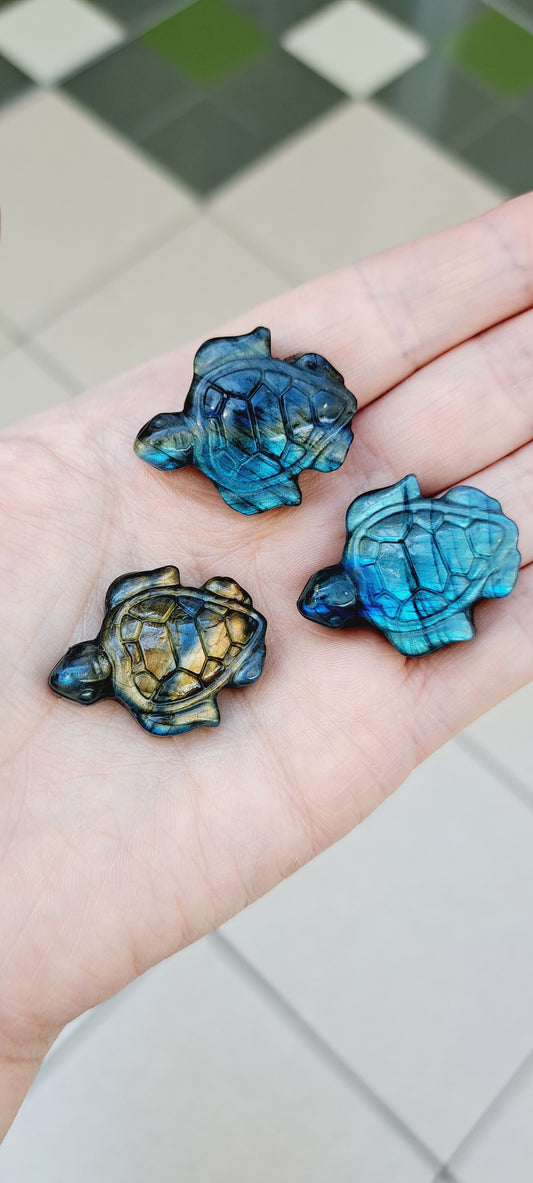 Mini Labradorite turtles (high flash)