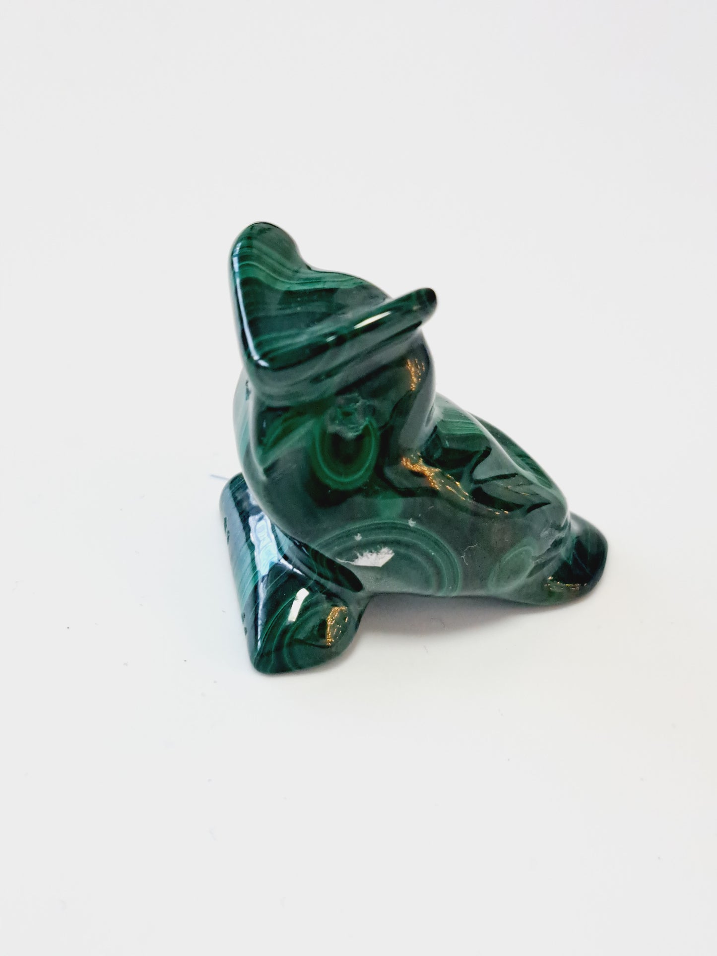 Malachite owl
