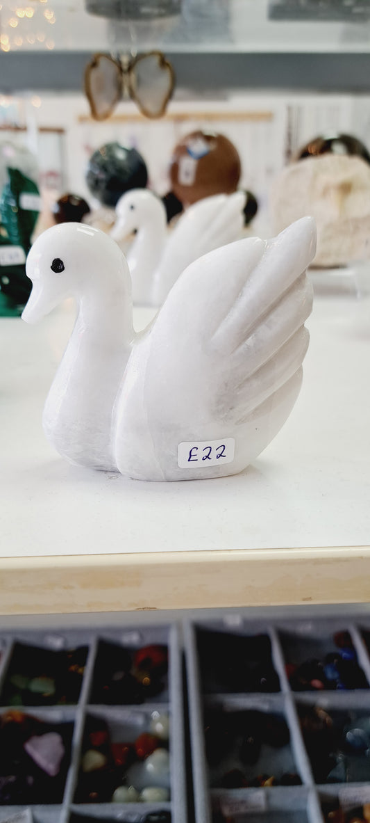 White marble swan