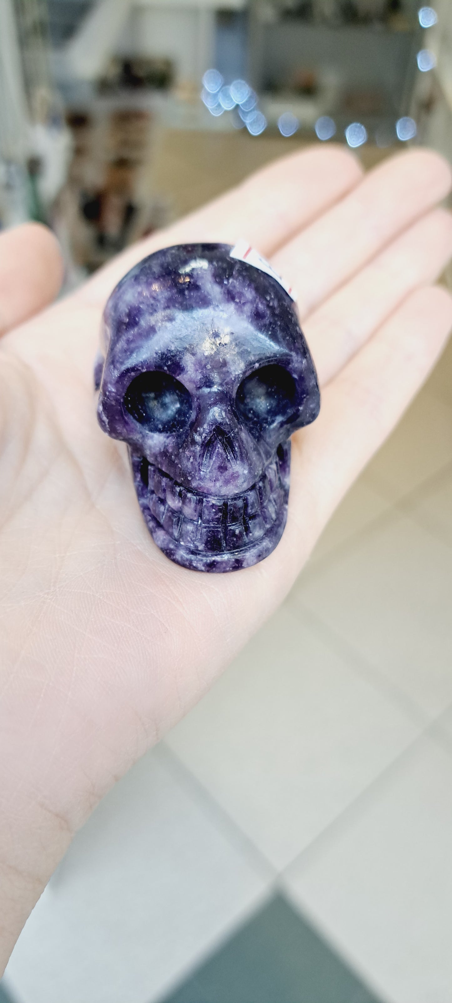 Lapidalite skull