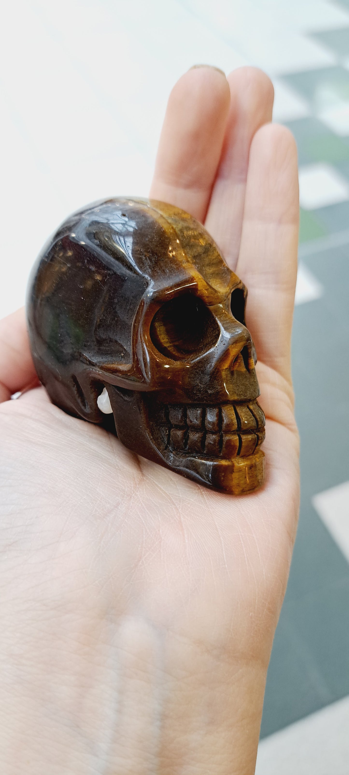 Tigers eye skull