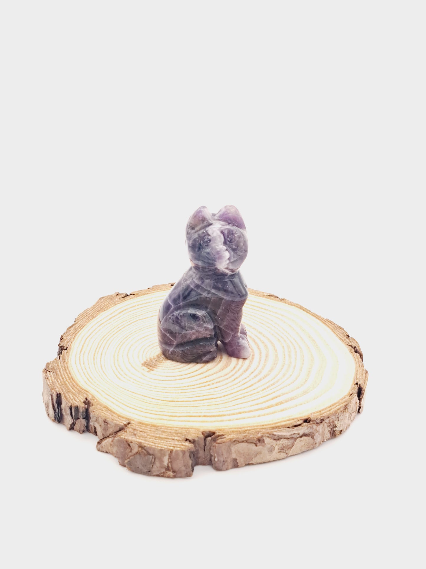 Amethyst cat