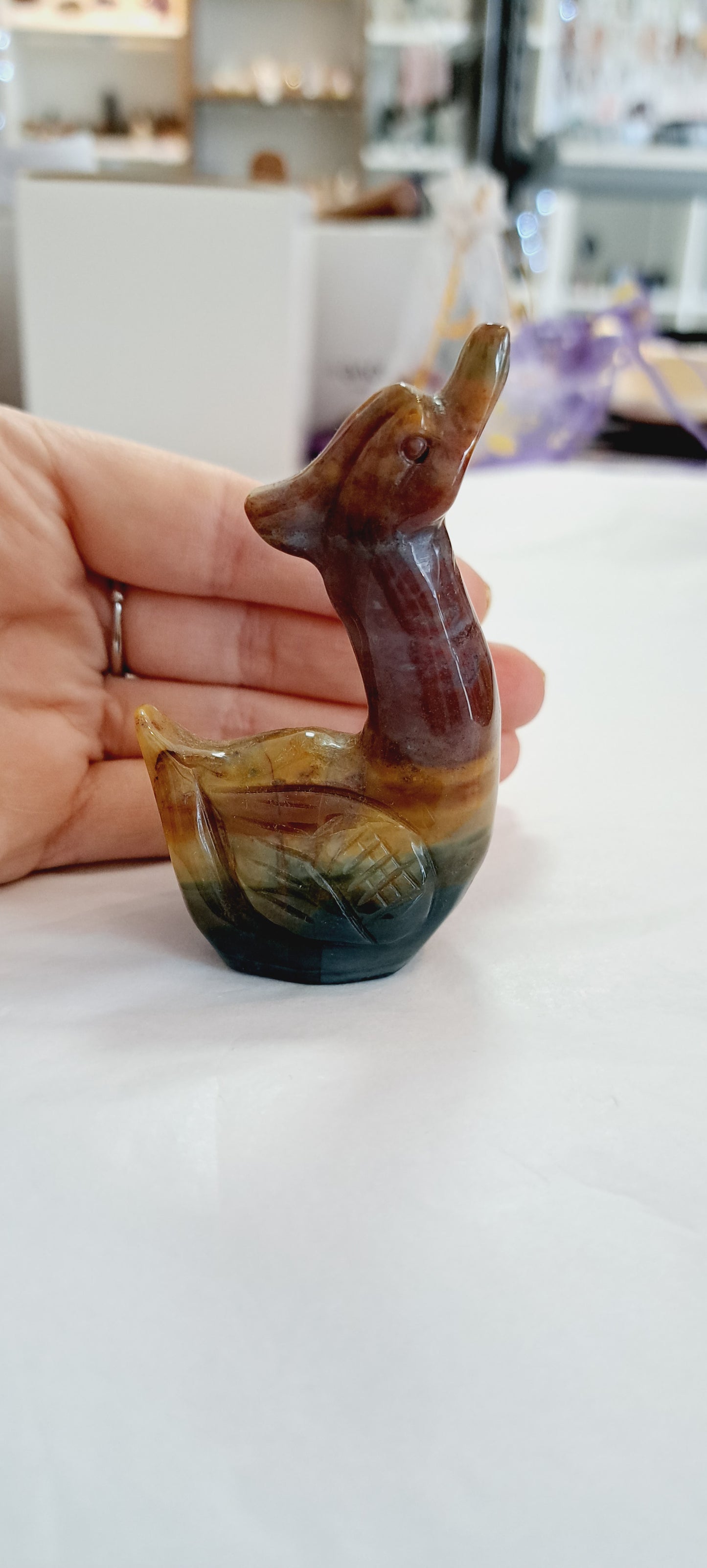 Ocean jasper swan