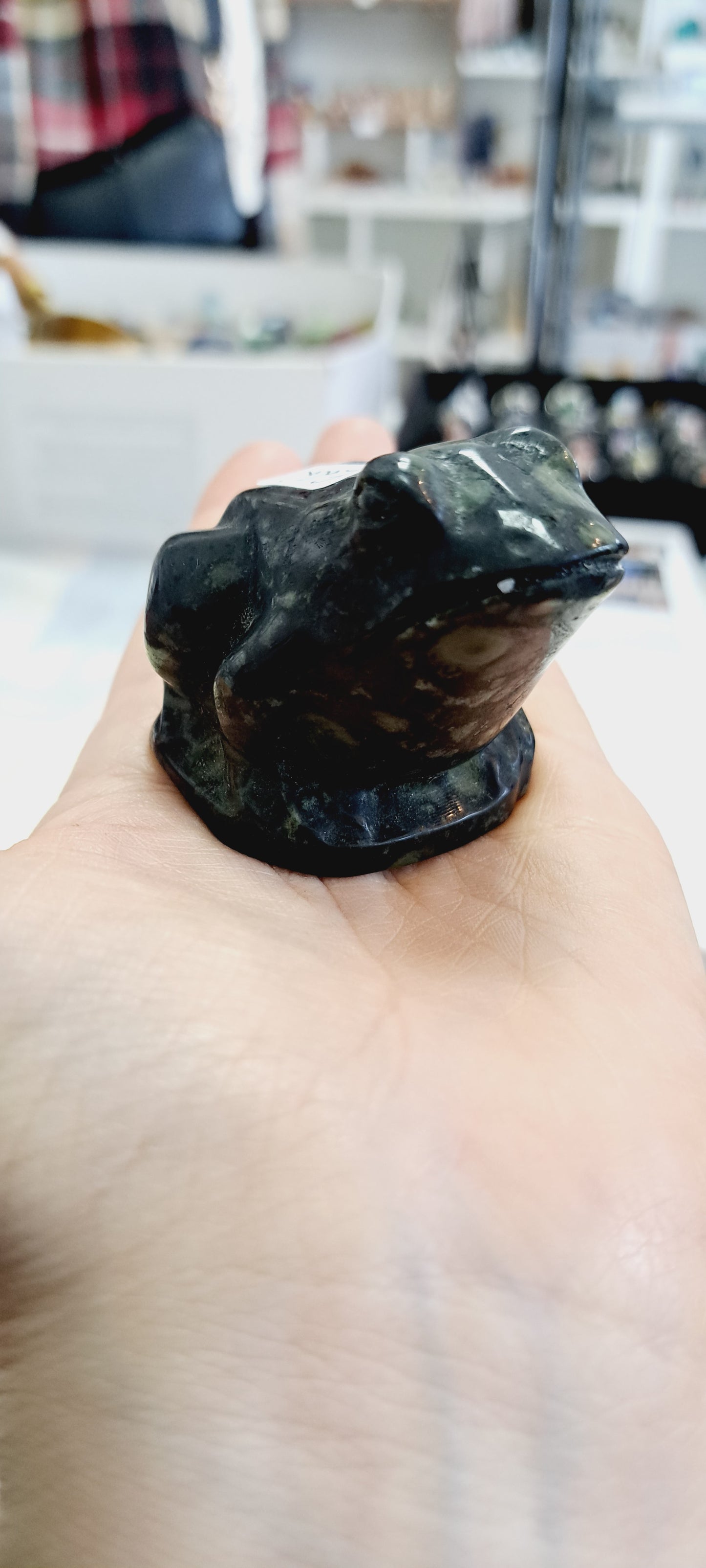 Kumbaba jasper frog