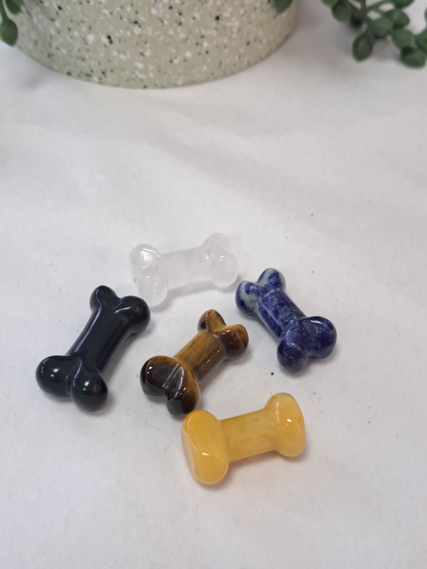 Tigers eye dog bone
