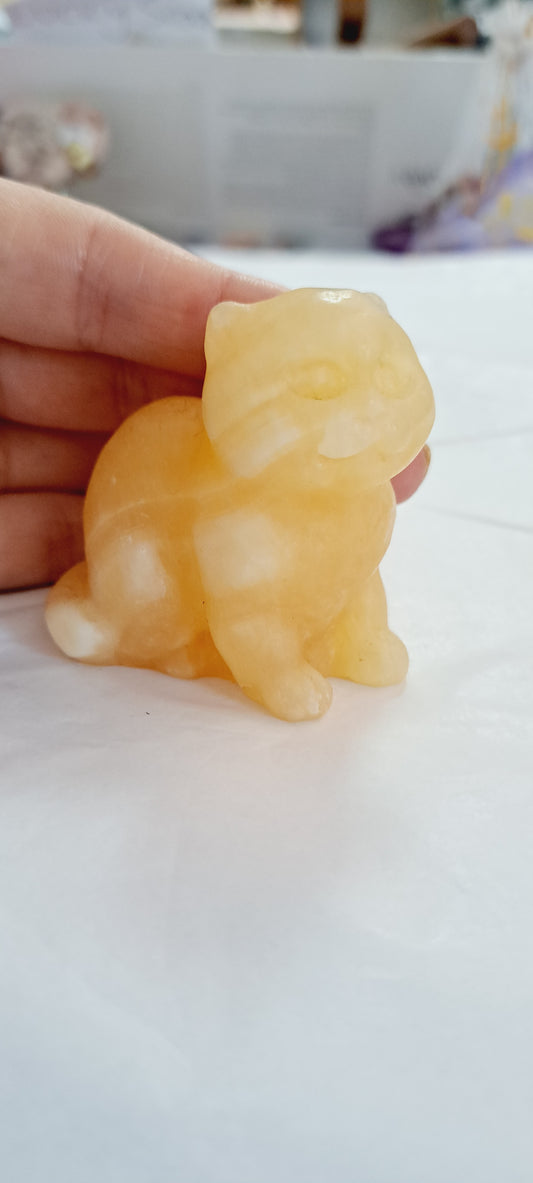 Yellow calcite cat