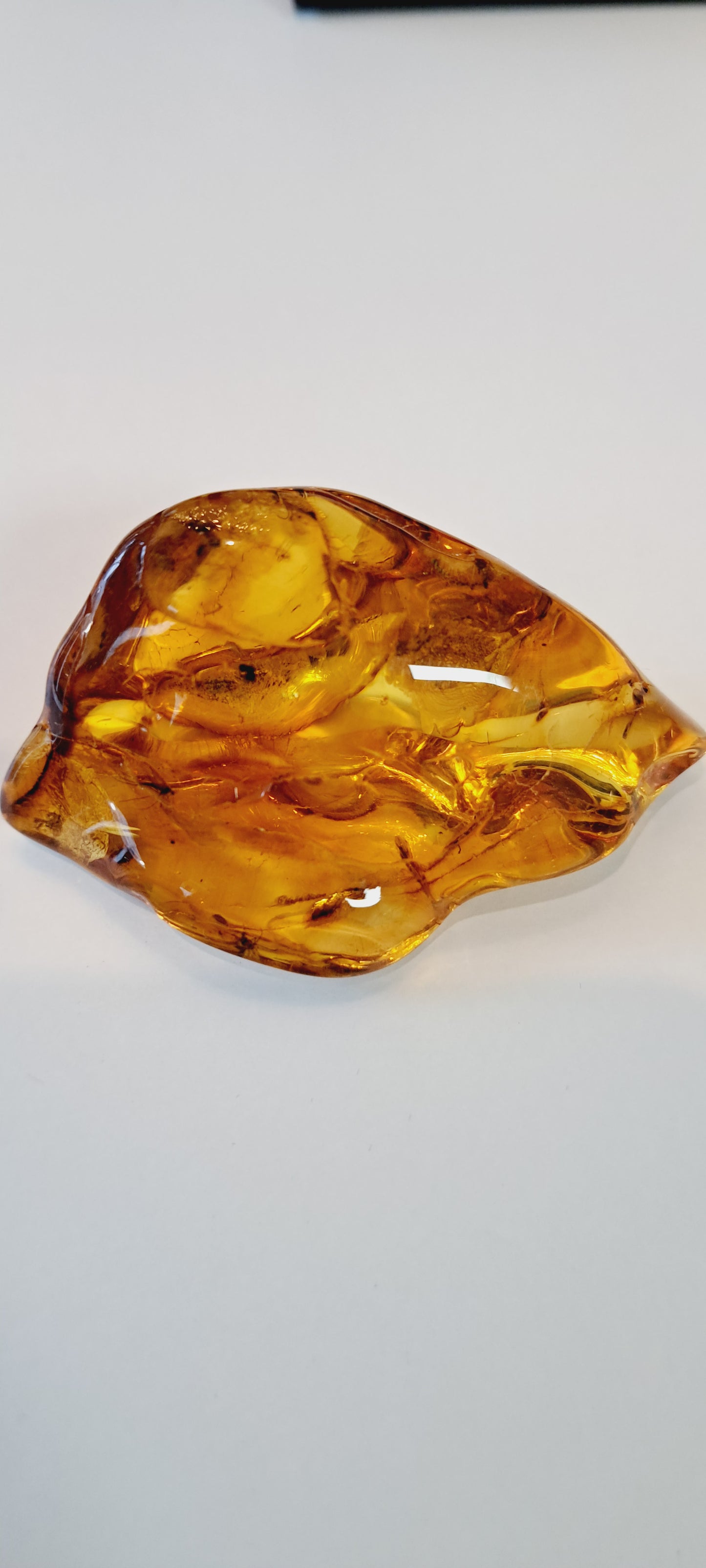 Large piece of baltic amber with insect inclusions