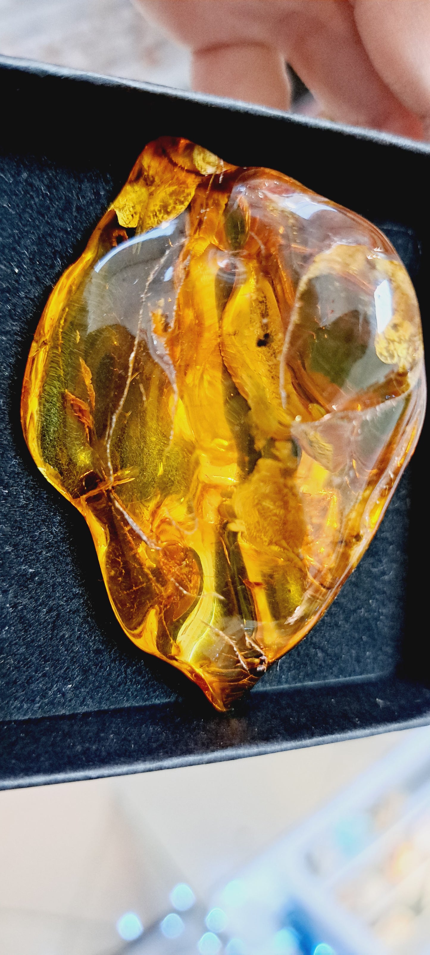 Large piece of baltic amber with insect inclusions