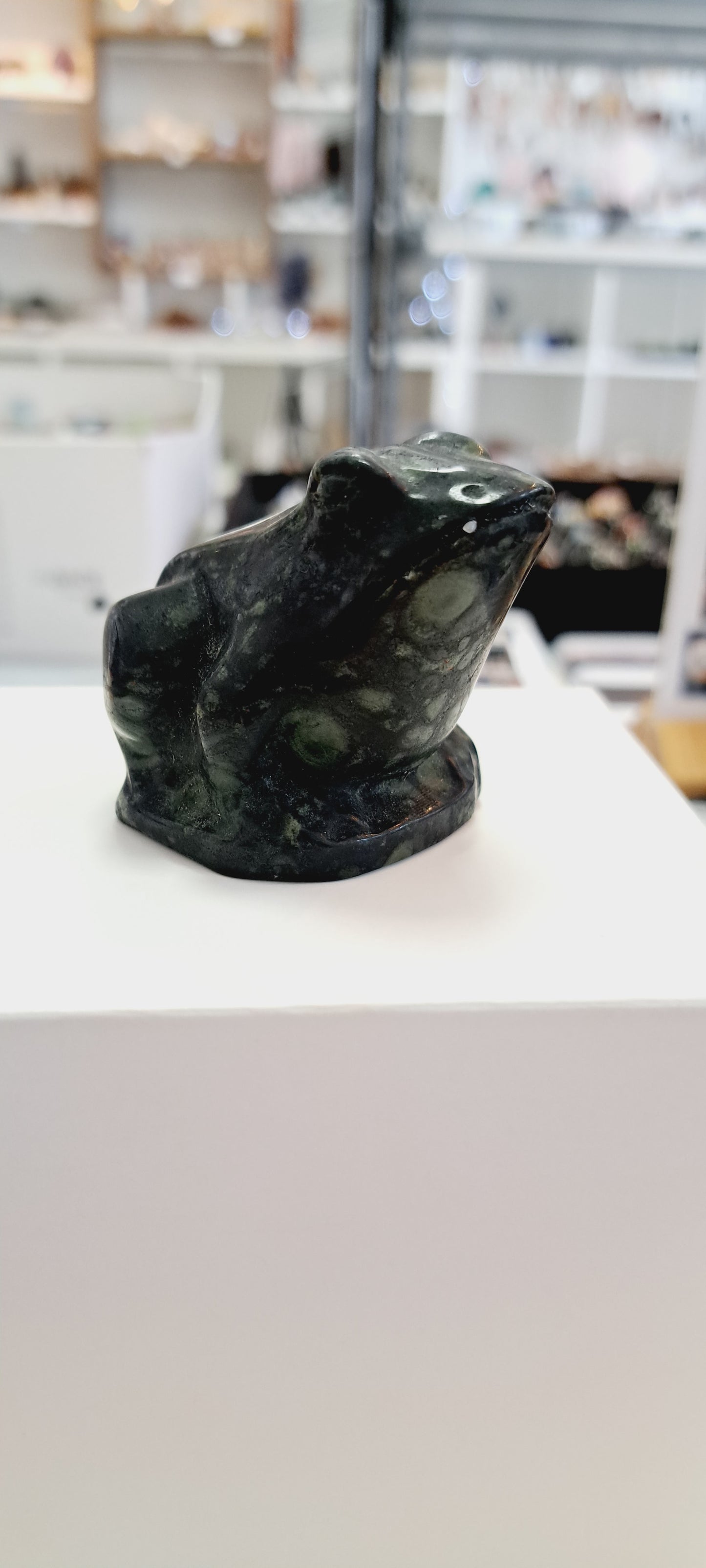 Kumbaba jasper frog