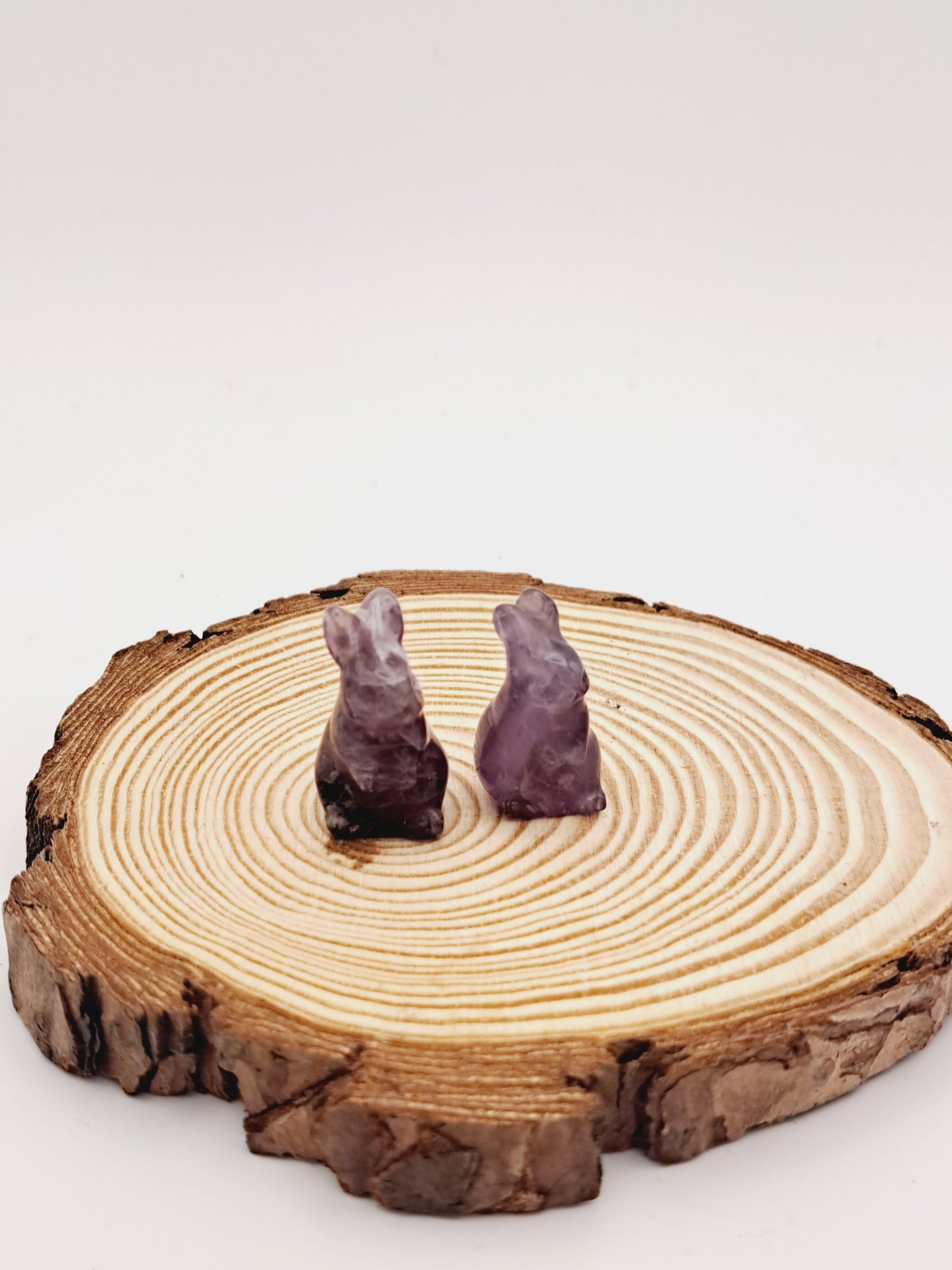 Amethyst bunny
