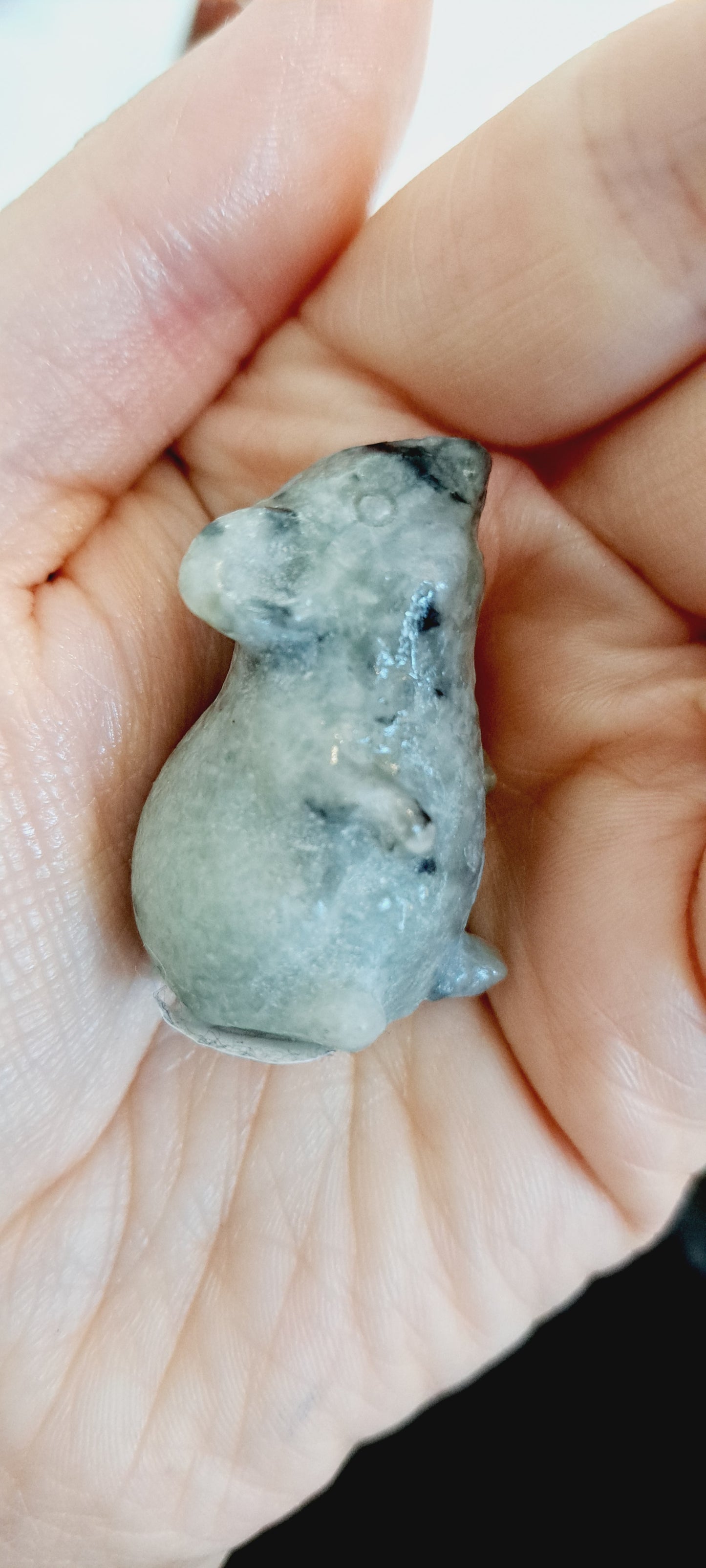 Labradorite mouse