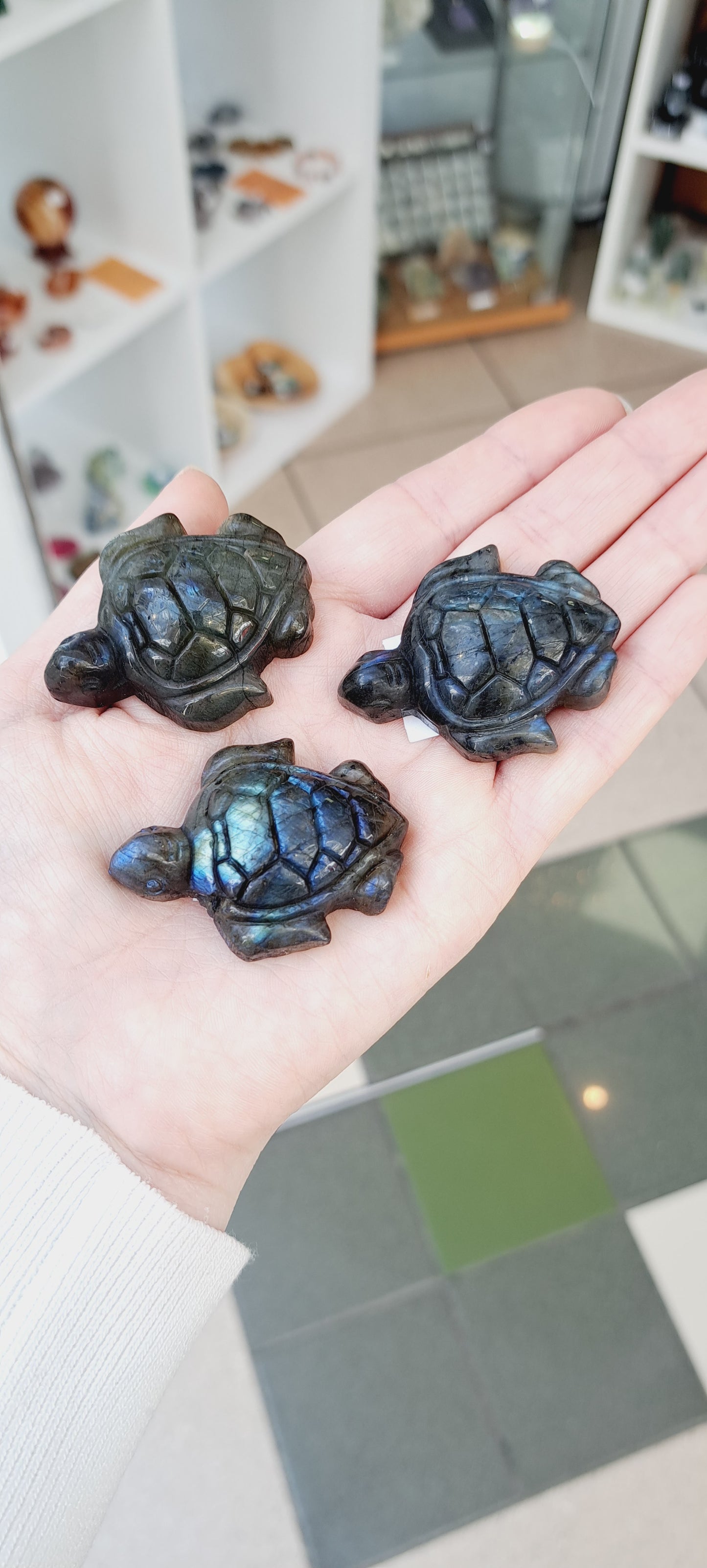 Medium labradorite turtle