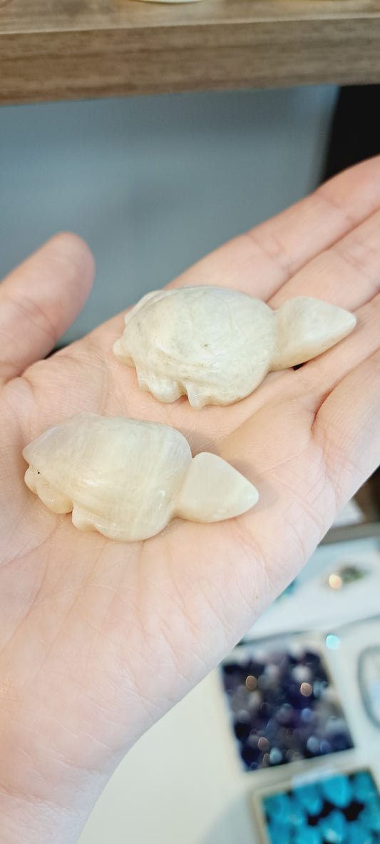 Moonstone turtle