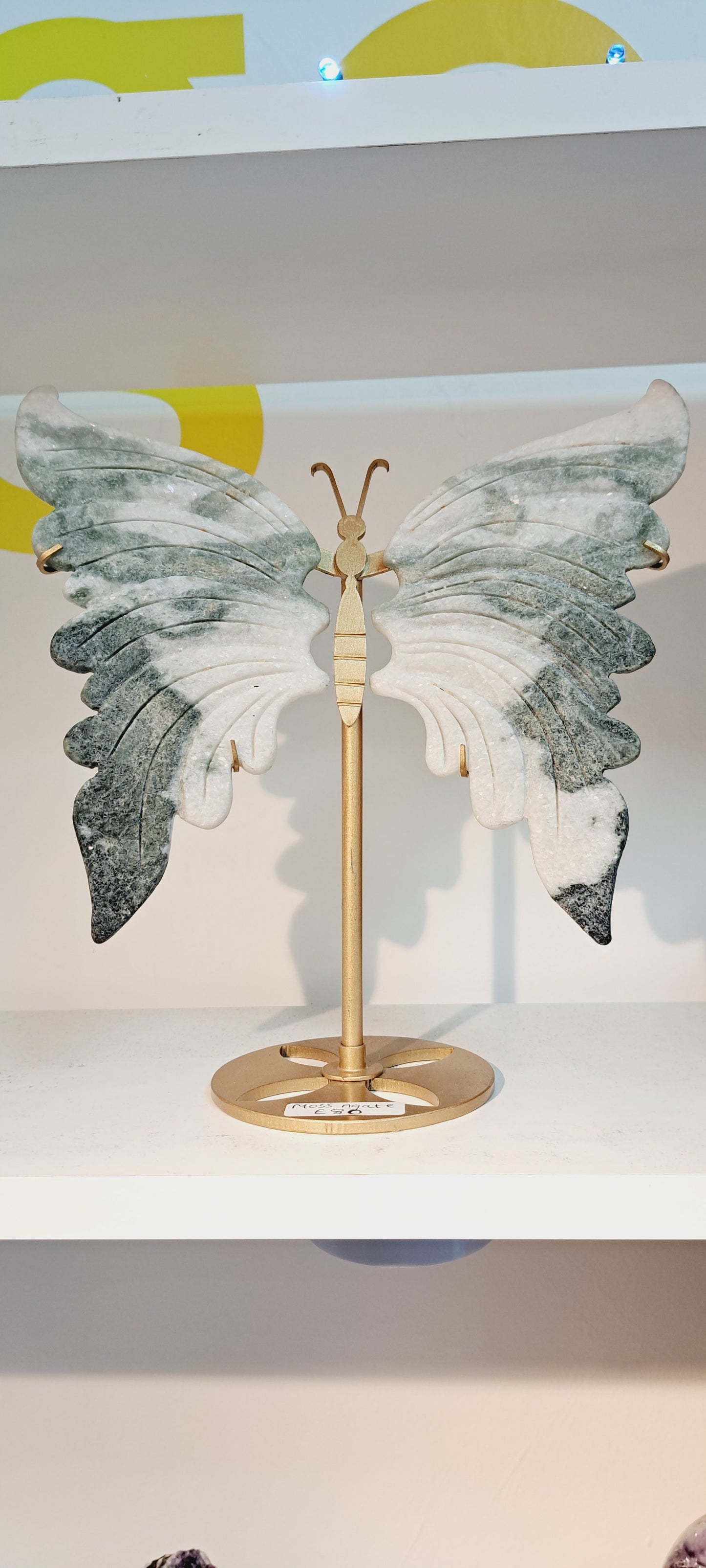 Large moss agate butterfly wings