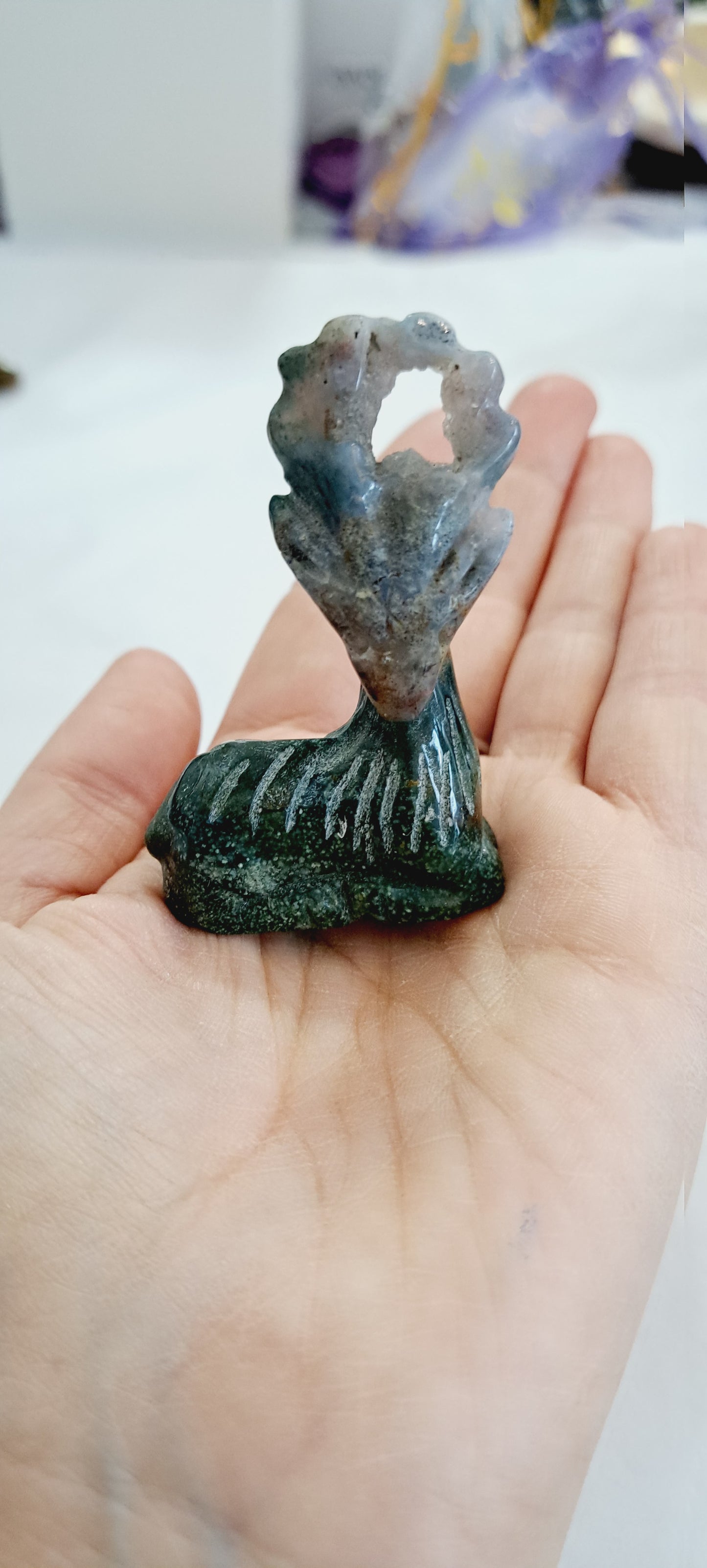 Ocean jasper stag