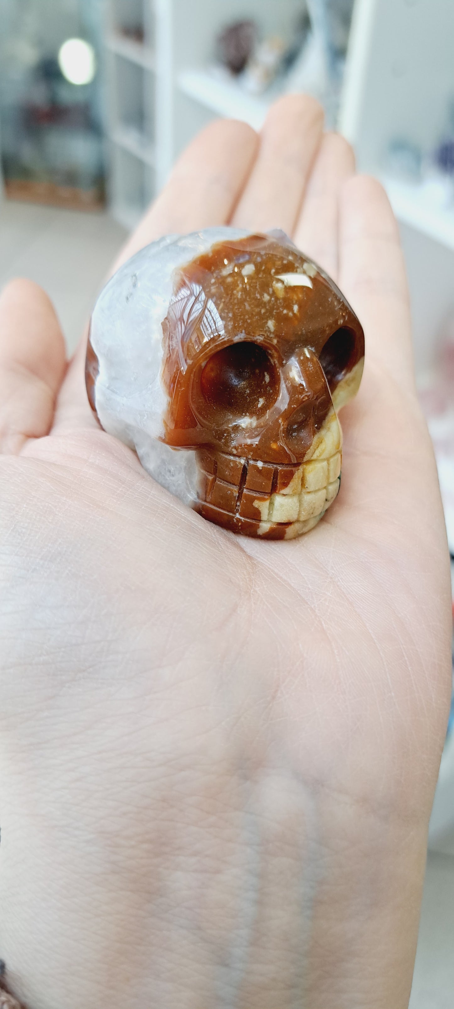 Sardonyx skull