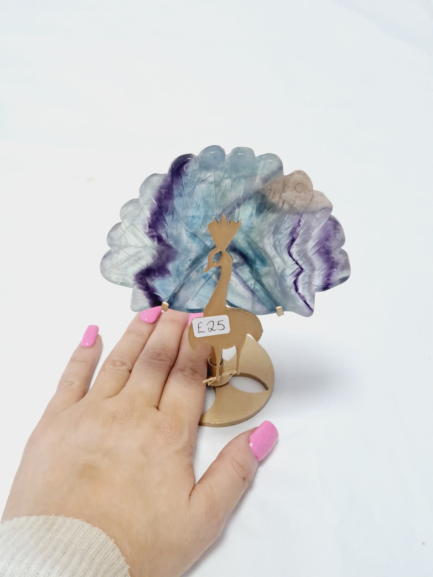 Banded fluorite peacock 🦚