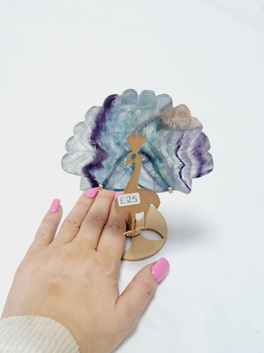 Banded fluorite peacock 🦚