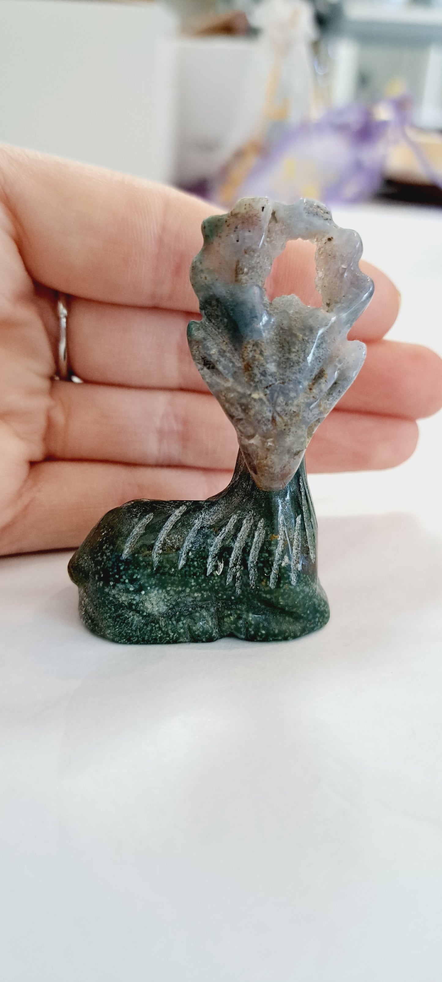 Ocean jasper stag