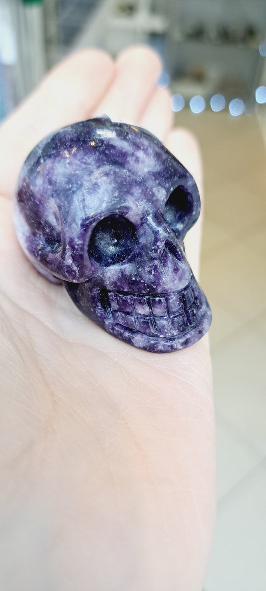 Lapidalite skull