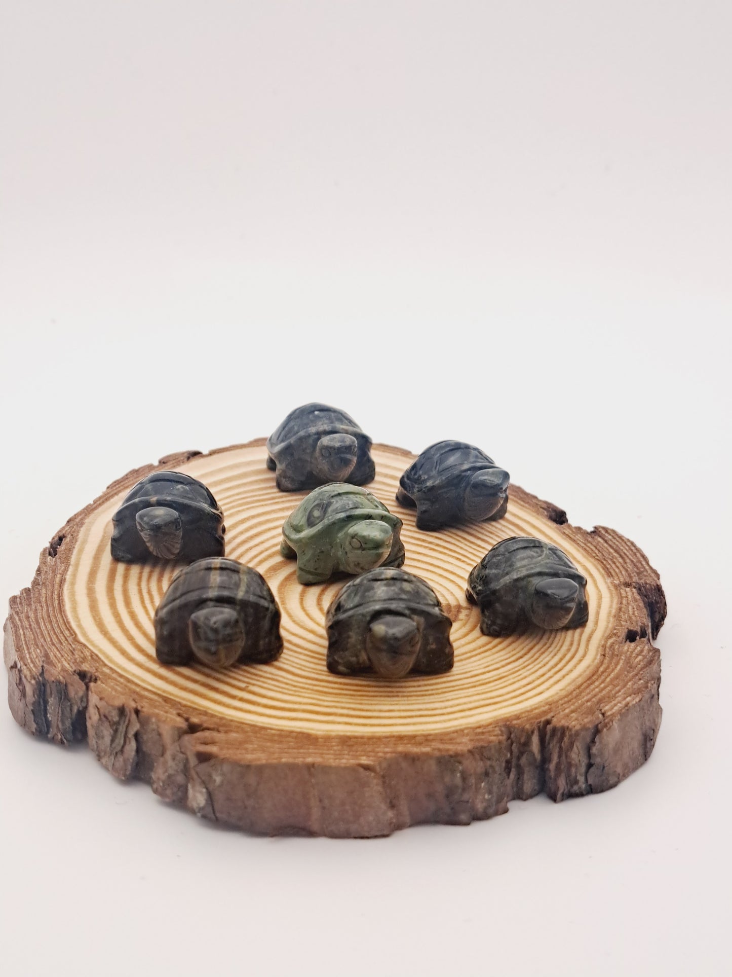 Dragon bloodstone turtle