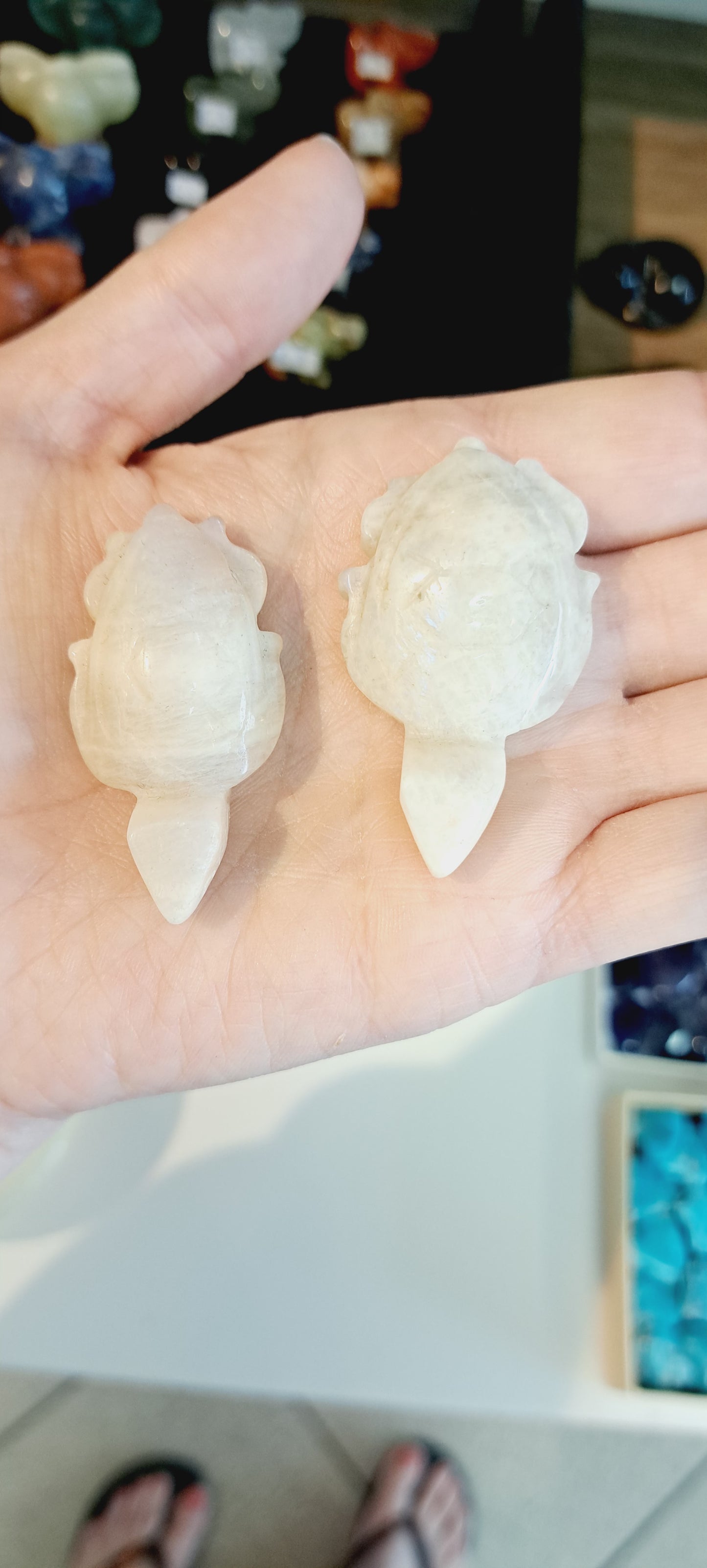 Moonstone turtle