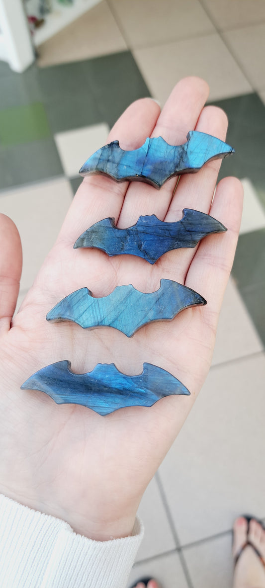 Labradorite bat ( high flash)