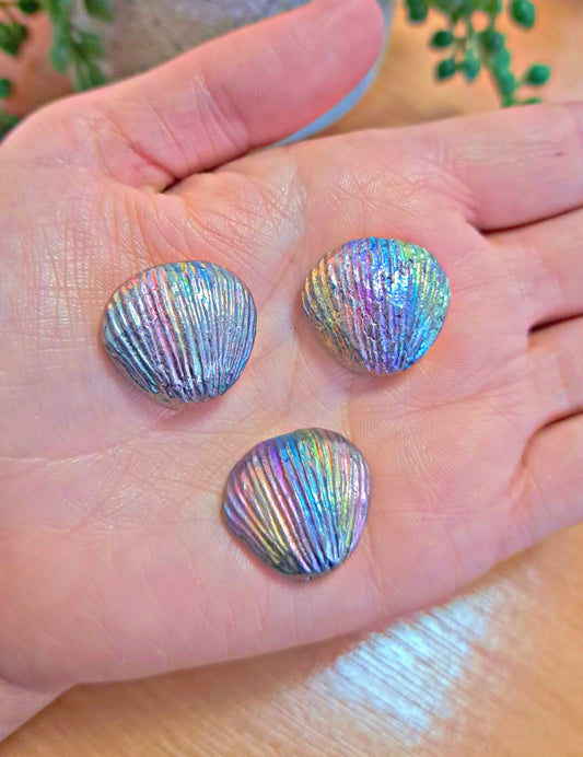 Bismuth clam