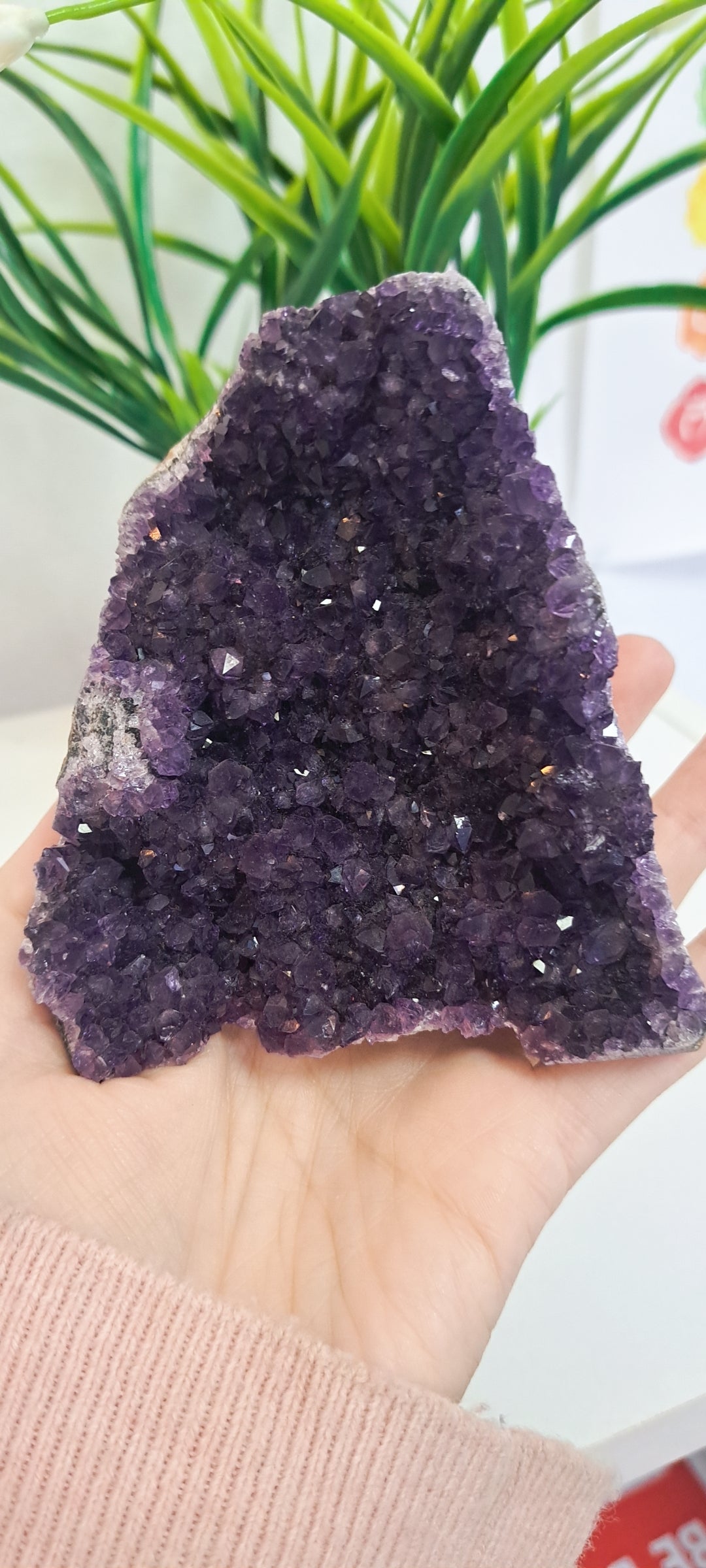 AA+Amethyst cutbase from Brazil