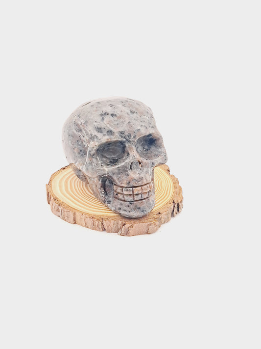 Large Yooperlite skull