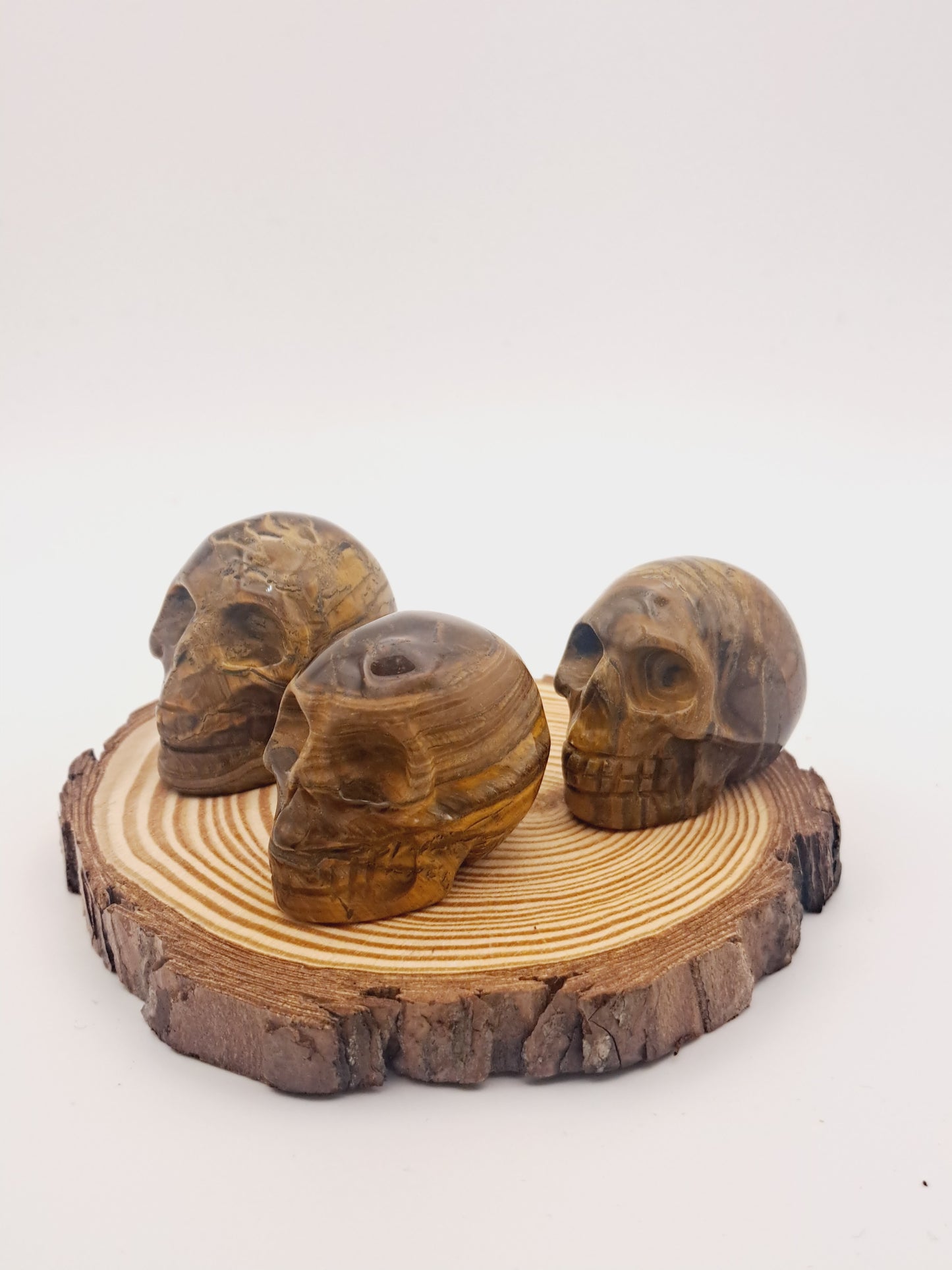 Tigers eye skull