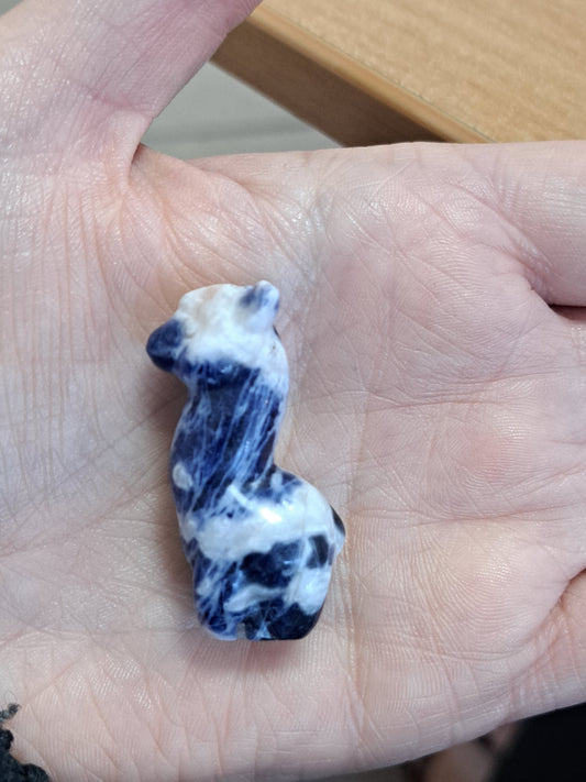 Sodalite alpaca