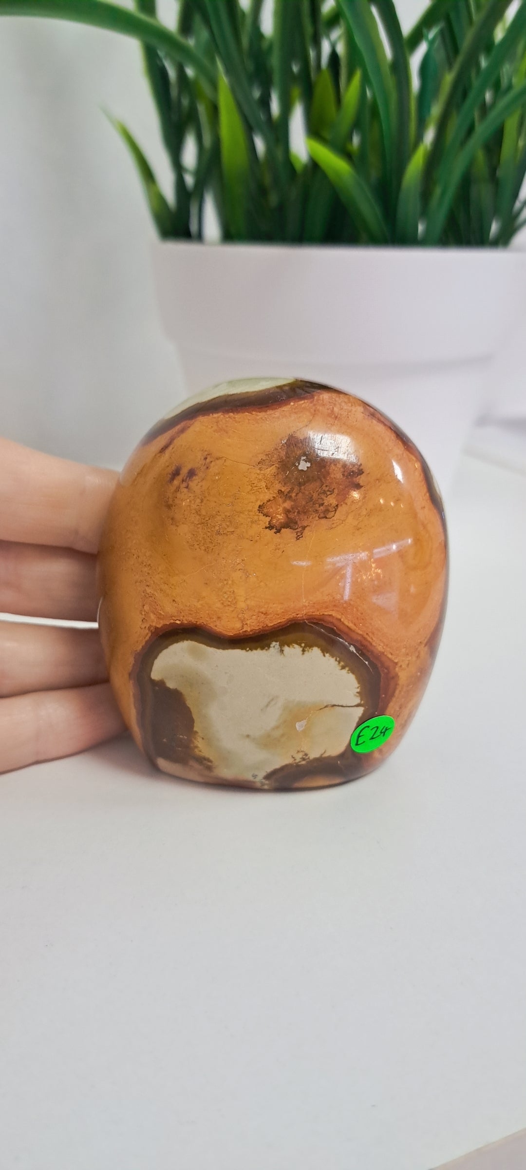 Polychrome Jasper Freeform