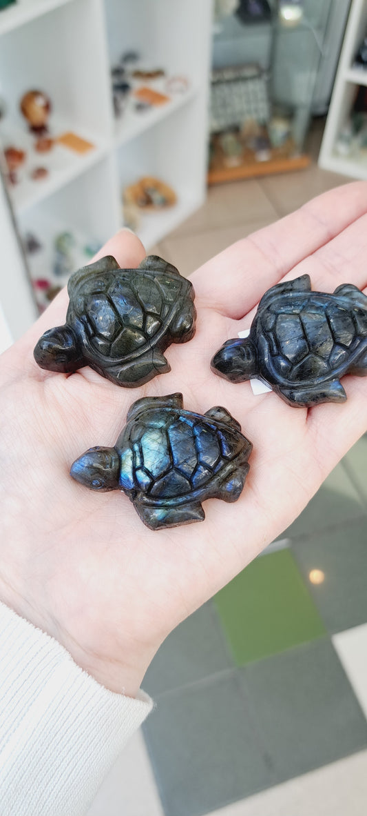 Medium labradorite turtle