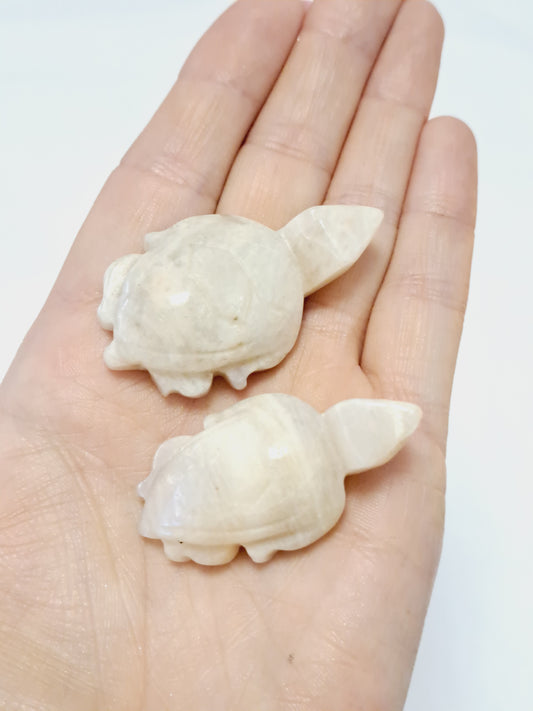 White moonstone turtle