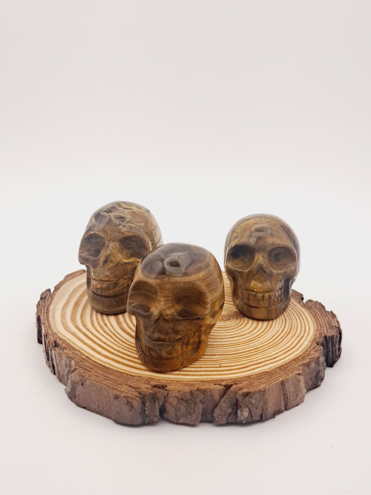 Tigers eye skull