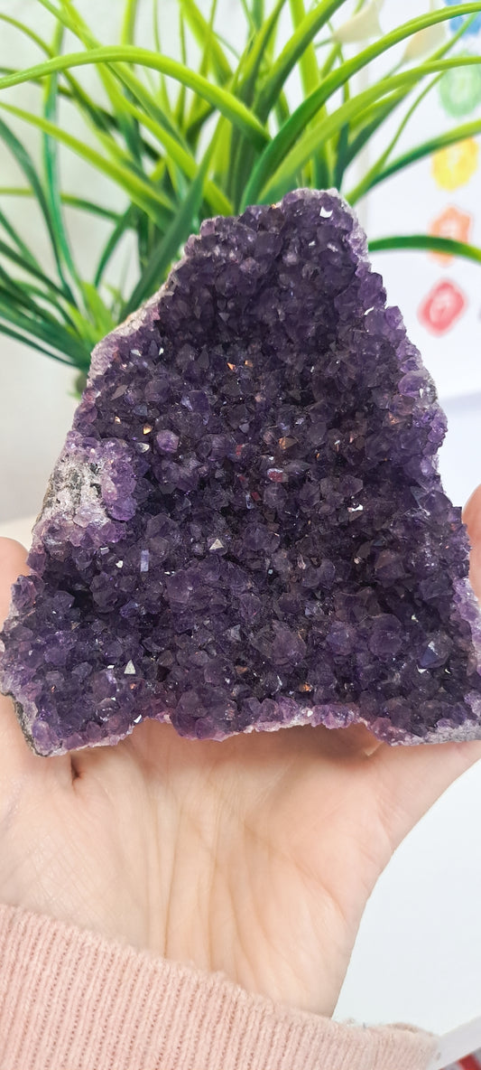 AA+Amethyst cutbase from Brazil